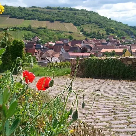 Hotel Du Cheval Blanc Depuis 1785 Westhalten